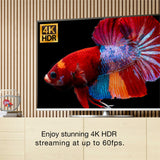 EZCast Ultra U1 4K HDR