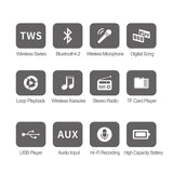 WinBridge K10 Portable PA System With 2 Wireless Handheld Mic 80W