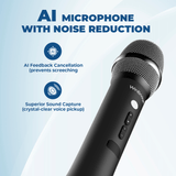 WinBridge H9 Bluetooth Mic