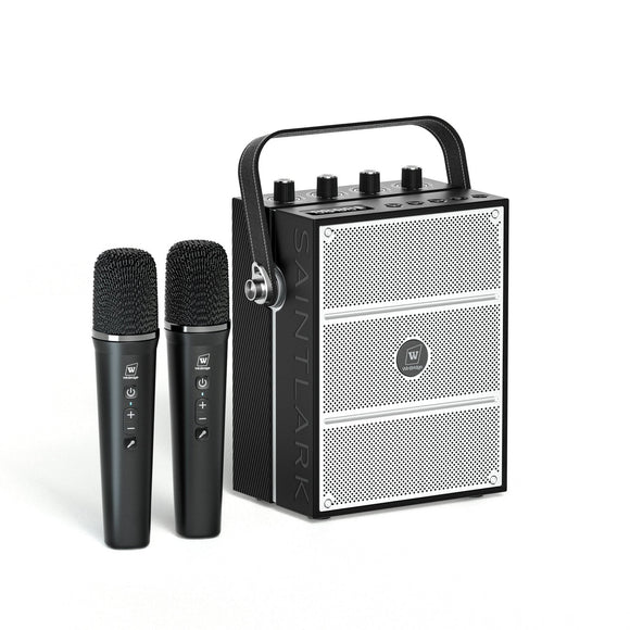 WinBridge S99 100W Powerful Wireless Voice Amplifier with Two Handheld Mic