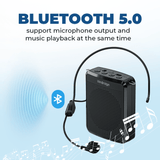 WinBridge WB008 Voice Amplifier